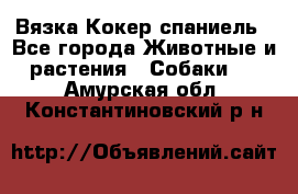 Вязка Кокер спаниель - Все города Животные и растения » Собаки   . Амурская обл.,Константиновский р-н